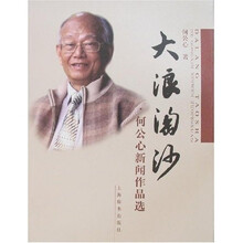 大浪淘沙:何公心新闻作品选
