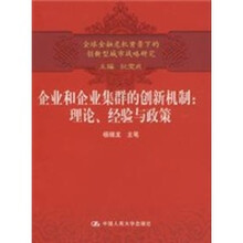 企业和企业集群的创新机制：理论、经验与政策
