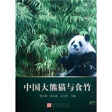 中国大熊猫与食竹