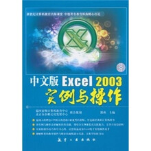 中文版Excel2003实例与操作