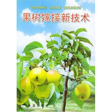 果树嫁接新技术