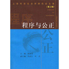 上海市诉讼法学研究会文集（第3辑）：程序与公正