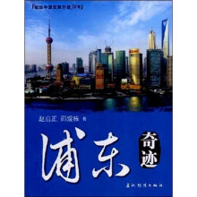 浦东奇迹（中）