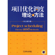 项目优化调度理论与方法