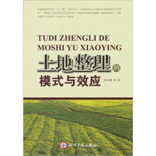 土地整理的模式与效应