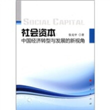 社会资本：中国经济转型与发展的新视角