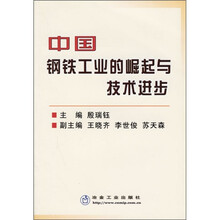 中国钢铁工业的崛起与技术进步