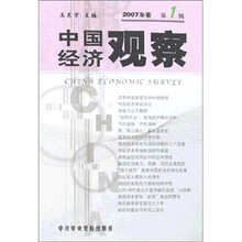 中国经济观察2007年（第1辑）