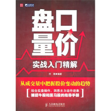 盘口量价实战入门精解