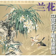 中国名花工笔线描画谱:兰花