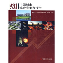 中国城市综合竞争力报告（NO.1）
