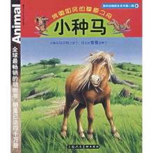 我的动物朋友系列·小种马:奔驰如风的草原之舟(适合5至10岁小朋友阅读)