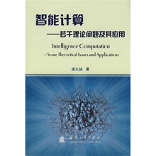 智能计算:若干理论问题及其应用