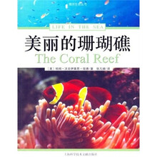 美丽的珊瑚礁