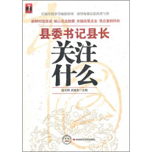 县委书记县长关注什么