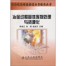 冶金过程固体废物处理与资源化