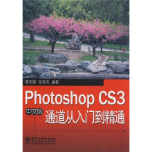 Photoshop CS3中文版通道从入门到精通