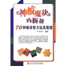 神板魔块巧拆拼：70种板块智力玩具图谱
