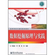 高等学校计算机规划教材：数据挖掘原理与实践