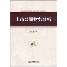 上市公司财务分析