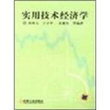 实用技术经济学