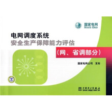 电网调度系统安全生产保障能力评估：网、省调部分