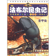 法布尔昆虫记:圣甲虫(儿童版)