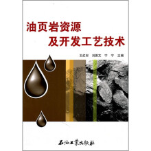 油页岩资源及开发工艺技术