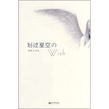 划过星空的WISH
