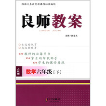良师教案:数学(6年级下)(人教版)