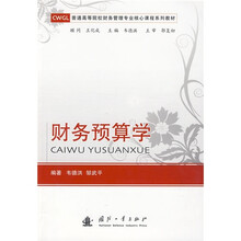 普通高等院校财务管理专业核心课程系列教材:财务预算学