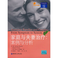 家庭与夫妻治疗案例与分析