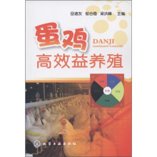 蛋鸡高效益养殖