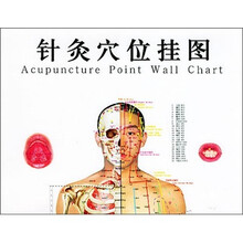 针灸穴位挂图(修订男性真人版)
