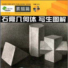 美术基础教学阶梯训练:石膏几何体 写生图解(素描篇)(附光盘)