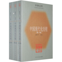 中国现代化历程：哲学社会科学类（共3册）