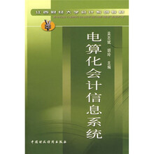 电算化会计信息系统