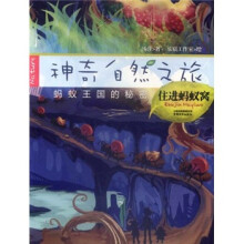 神奇自然之旅：住进蚂蚁窝