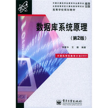 高等学校规划教材：数据库系统原理（第2版）