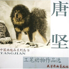 唐坚工笔动物作品选