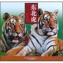 东北虎