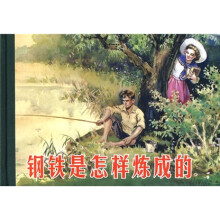 钢铁是怎样炼成的