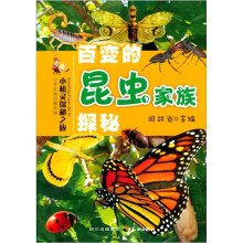 小机灵探秘之旅:百变的昆虫家族探秘