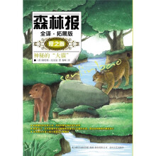 神秘的“大猫”(夏之卷)