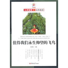 值得我们永生仰望的飞鸟