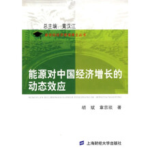 能源对中国经济增长的动态效应
