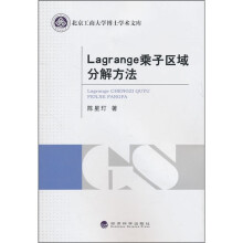 Lagrange乘子区域分解方法