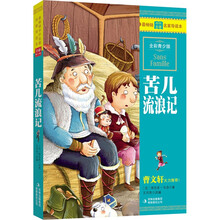 苦儿流浪记