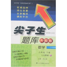 尖子生题库：数学（6年级）（下册）（人教版）（升级版）