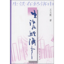 生活在经济中